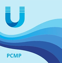 Biomagnetic Therapy Training - Post-Covid Magnetic Protocol™